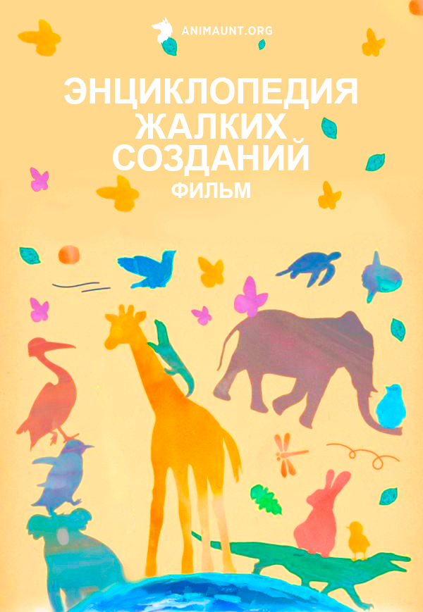 Энциклопедия жалких созданий. Фильм