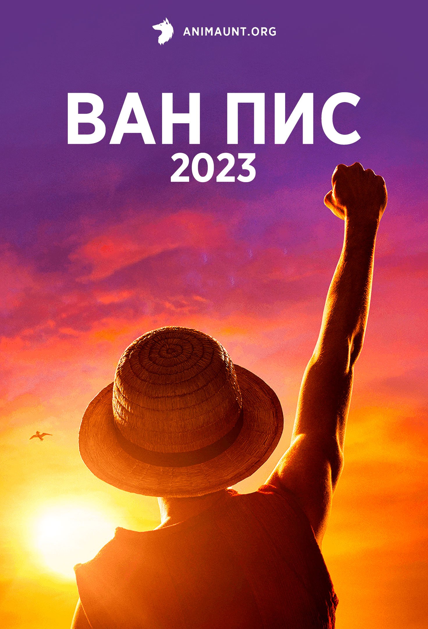 Ван Пис 2023