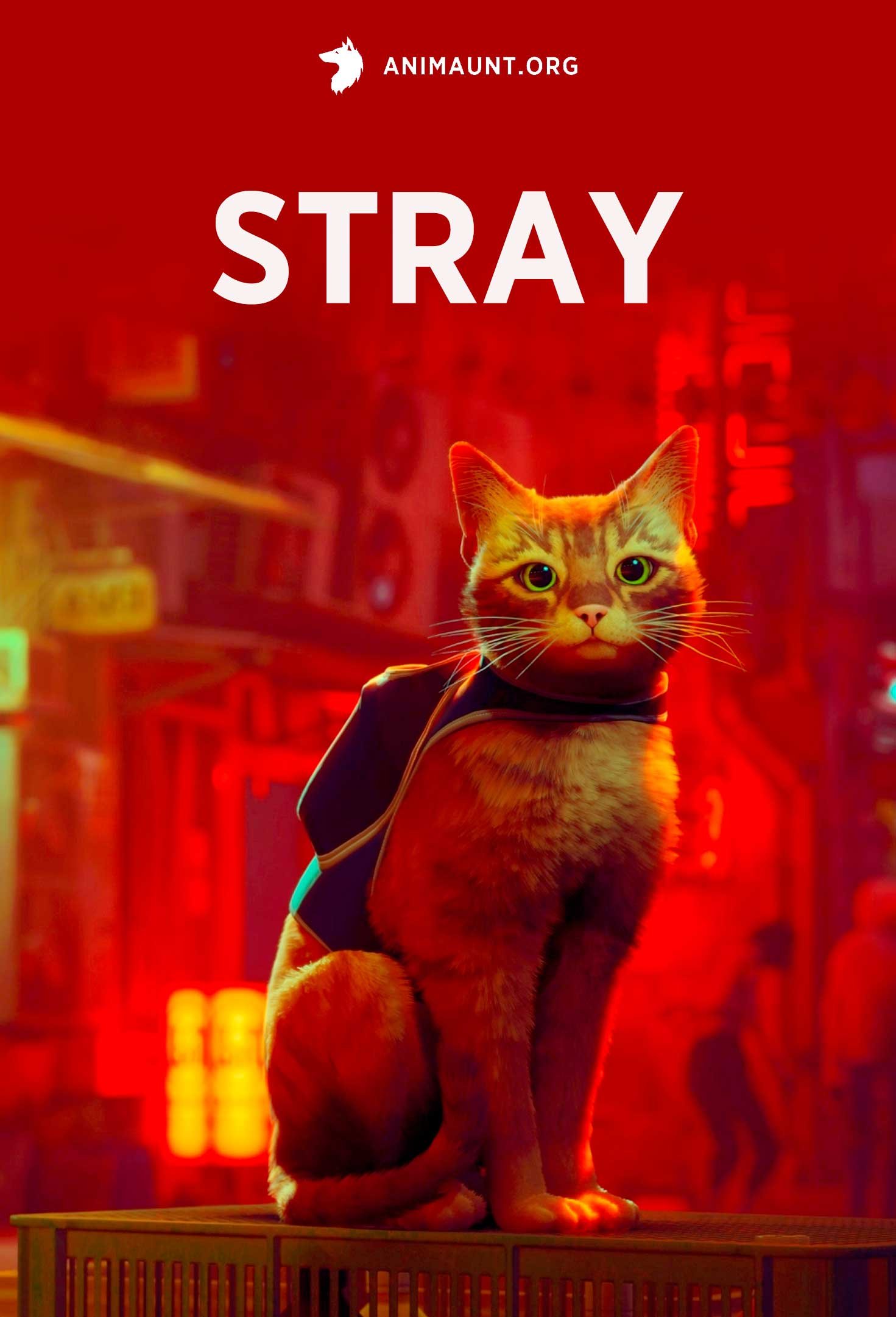 Stray