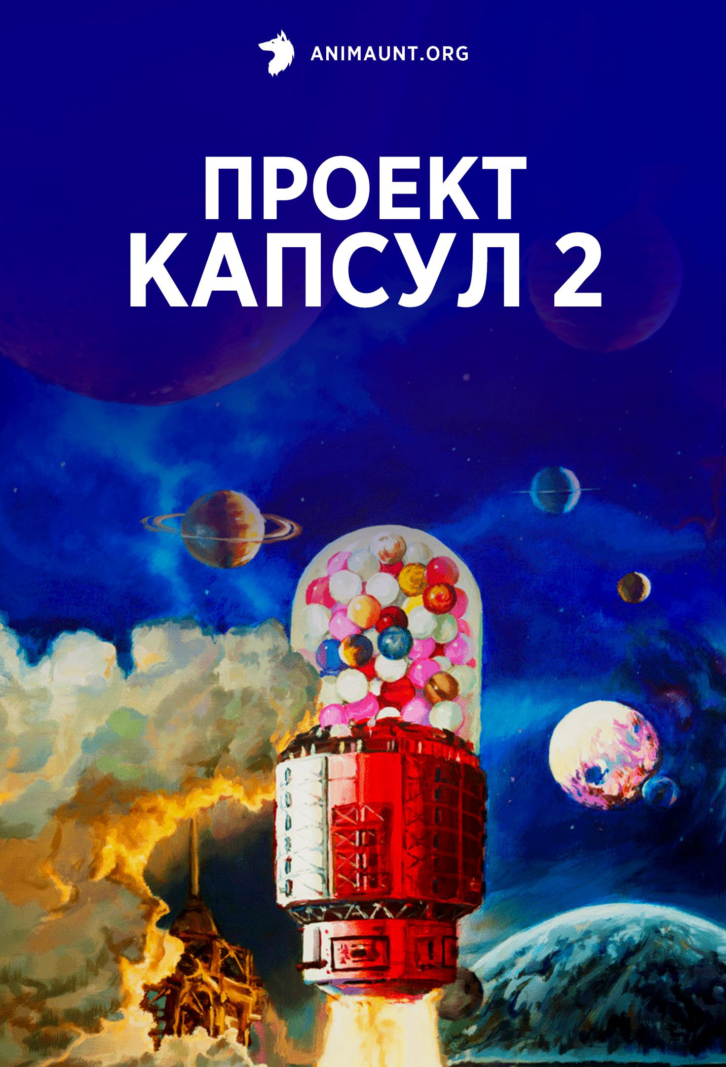 Проект капсул 2