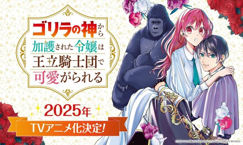 Месяц премьеры и подробности аниме «Gorilla no Kami kara Kago sareta Reijou wa Ouritsu Kishidan de Kawaigarareru»